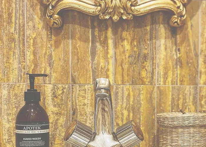 La Maison De L' Ambassadeur 4* カルカソンヌ